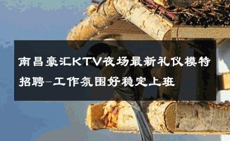 南昌豪汇KTV夜场最新礼仪模特招聘-工作氛围好稳定上班 