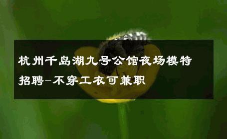 杭州千岛湖九号公馆夜场模特招聘-不穿工衣可兼职 