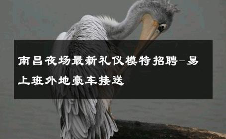 南昌夜场最新礼仪模特招聘-易上班外地豪车接送 