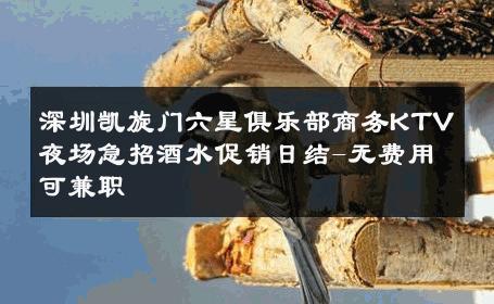 深圳凯旋门六星俱乐部商务KTV夜场急招酒水促销日结-无费用可兼职 