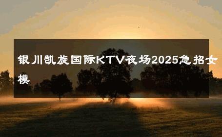 银川凯旋国际KTV夜场2025急招女模 