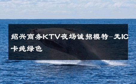 绍兴商务KTV夜场诚招模特-无IC卡纯绿色 