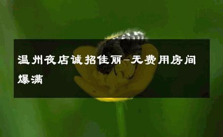 温州夜店诚招佳丽-无费用房间爆满 