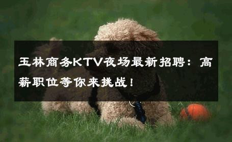 玉林商务KTV夜场最新招聘：高薪职位等你来挑战！
