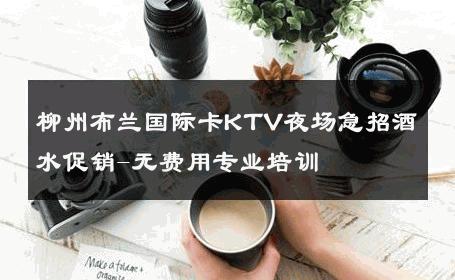 柳州布兰国际卡KTV夜场急招酒水促销-无费用专业培训 