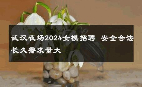 武汉夜场2024女模招聘-安全合法长久需求量大 