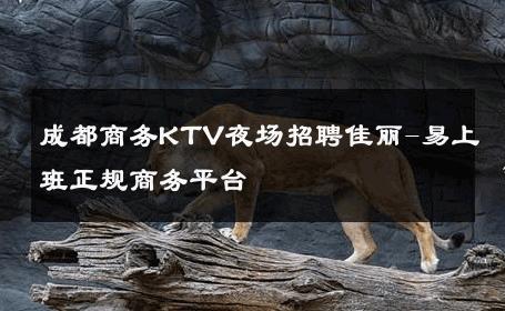 成都商务KTV夜场招聘佳丽-易上班正规商务平台 