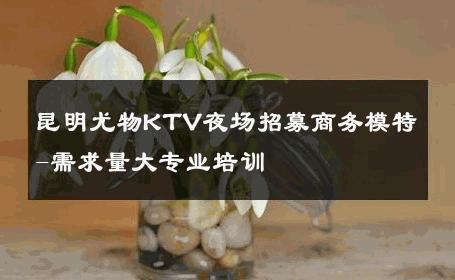 昆明尤物KTV夜场招募商务模特-需求量大专业培训 