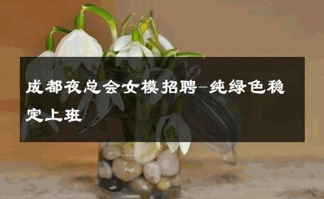 成都夜总会女模招聘-纯绿色稳定上班 