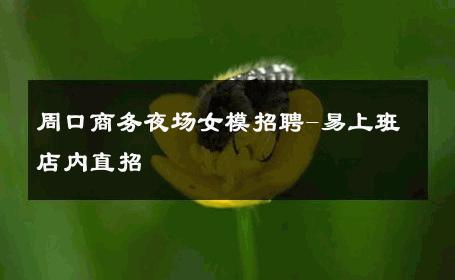 周口商务夜场女模招聘-易上班店内直招 