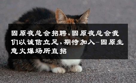 固原夜总会招聘,固原夜总会我们以诚信立足,期待加入-固原生意火爆场所直招
