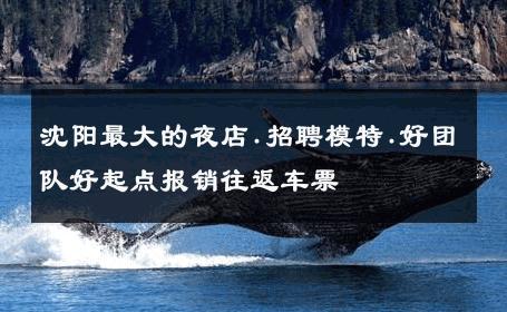 沈阳最大的夜店.招聘模特.好团队好起点报销往返车票 