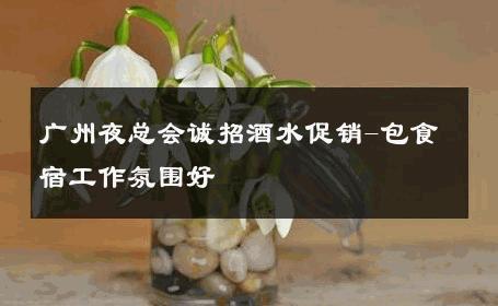 广州夜总会诚招酒水促销-包食宿工作氛围好 