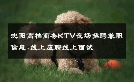 沈阳高档商务KTV夜场招聘兼职信息.线上应聘线上面试 