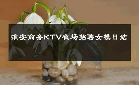 淮安商务KTV夜场招聘女模日结 