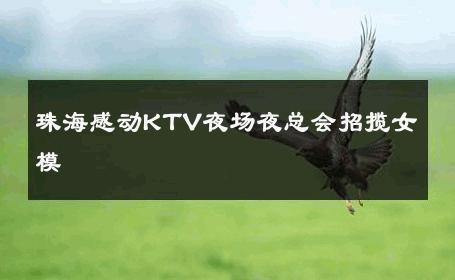 珠海感动KTV夜场夜总会招揽女模 