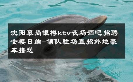沈阳慕尚银樽ktv夜场酒吧招聘女模日结-领队驻场直招外地豪车接送 
