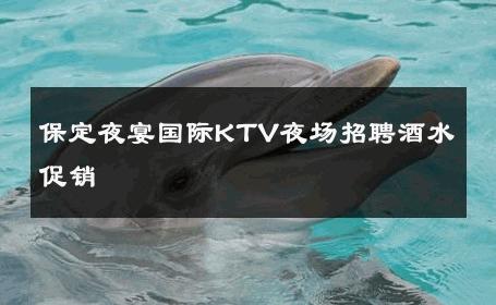 保定夜宴国际KTV夜场招聘酒水促销 