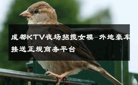 成都KTV夜场招揽女模-外地豪车接送正规商务平台 