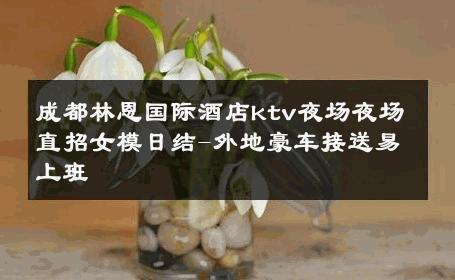 成都林恩国际酒店ktv夜场夜场直招女模日结-外地豪车接送易上班 