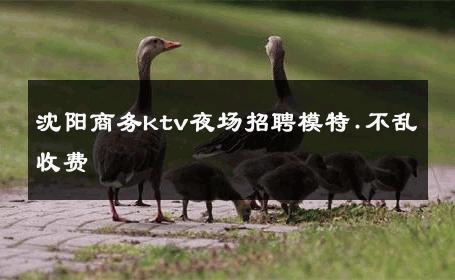 沈阳商务ktv夜场招聘模特.不乱收费 