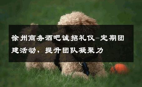 徐州商务酒吧诚招礼仪-定期团建活动，提升团队凝聚力 