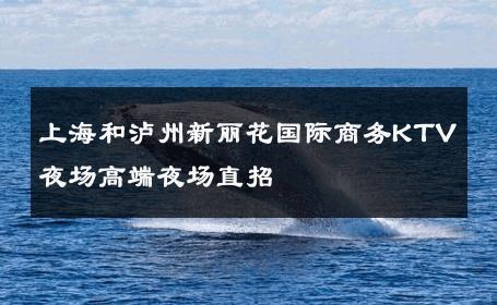 上海和泸州新丽花国际商务KTV夜场高端夜场直招 