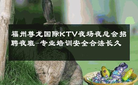 福州尊龙国际KTV夜场夜总会招聘夜班-专业培训安全合法长久 