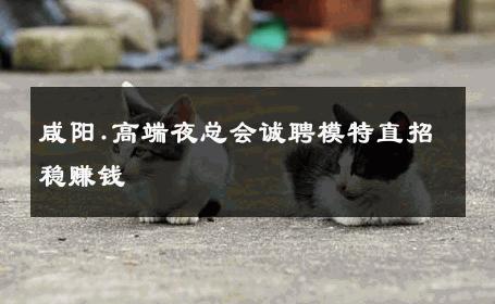 咸阳.高端夜总会诚聘模特直招稳赚钱 