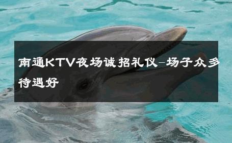 南通KTV夜场诚招礼仪-场子众多待遇好 