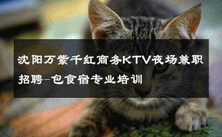 沈阳万紫千红商务KTV夜场兼职招聘-包食宿专业培训 