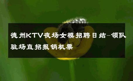 德州KTV夜场女模招聘日结-领队驻场直招报销机票 