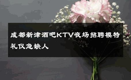 成都新津酒吧KTV夜场招聘模特礼仪急缺人 