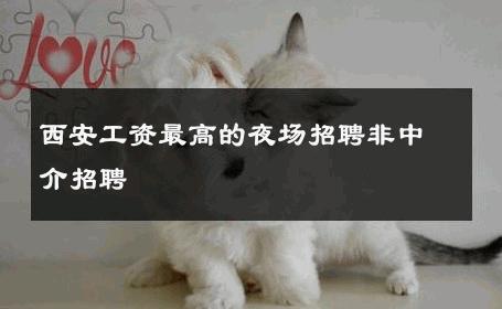 西安工资最高的夜场招聘非中介招聘 