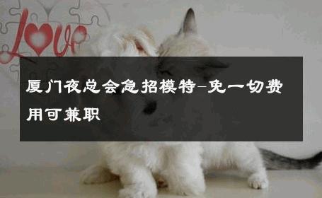 厦门夜总会急招模特-免一切费用可兼职 