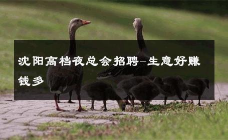 沈阳高档夜总会招聘-生意好赚钱多 