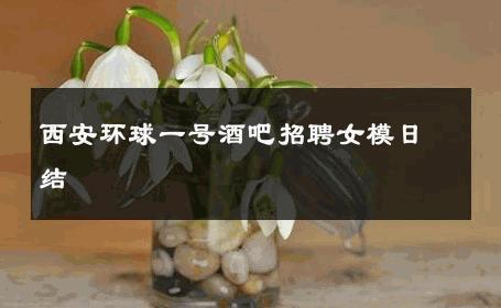 西安环球一号酒吧招聘女模日结 