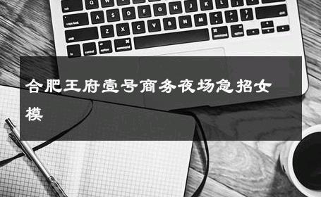 合肥王府壹号商务夜场急招女模 