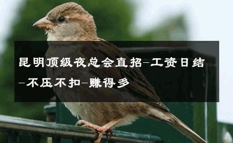 昆明顶级夜总会直招-工资日结-不压不扣-赚得多 