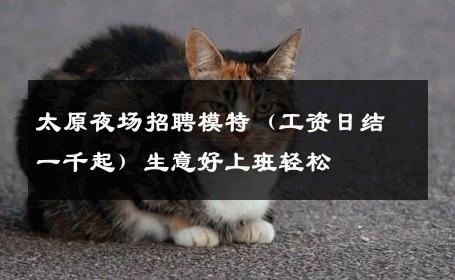 太原夜场招聘模特（工资日结一千起）生意好上班轻松 