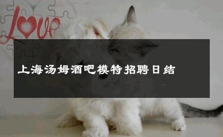 上海汤姆酒吧模特招聘日结 