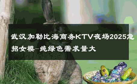 武汉加勒比海商务KTV夜场2025急招女模-纯绿色需求量大 