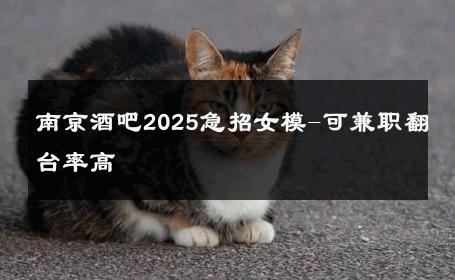南京酒吧2025急招女模-可兼职翻台率高 