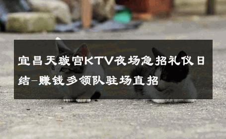宜昌天璇宫KTV夜场急招礼仪日结-赚钱多领队驻场直招 