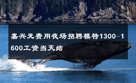嘉兴无费用夜场招聘模特1300-1600工资当天结 
