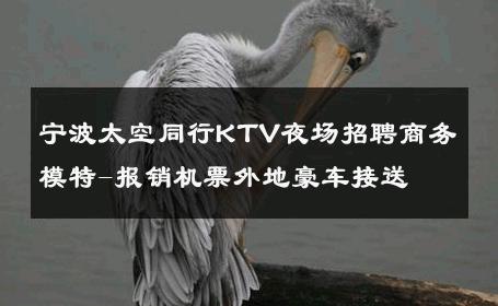 宁波太空同行KTV夜场招聘商务模特-报销机票外地豪车接送 