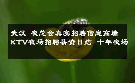 武汉 夜总会真实招聘信息高端KTV夜场招聘薪资日结-十年夜场 