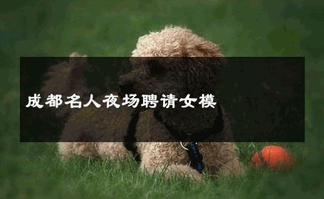 成都名人夜场聘请女模 