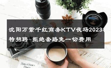 沈阳万紫千红商务KTV夜场2023模特招聘-拒绝套路免一切费用 