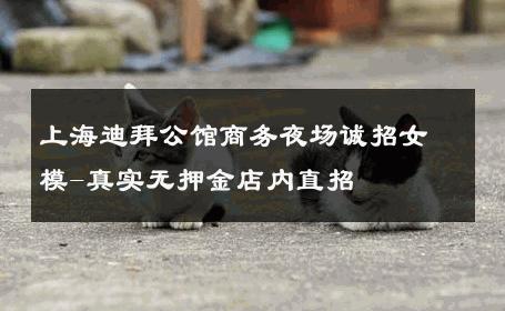 上海迪拜公馆商务夜场诚招女模-真实无押金店内直招 